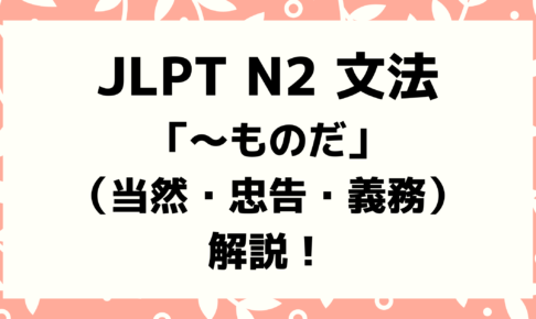 【文法解説】日本語能力試験JLPT N2「～ものだ」（①当然②忠告・義務）